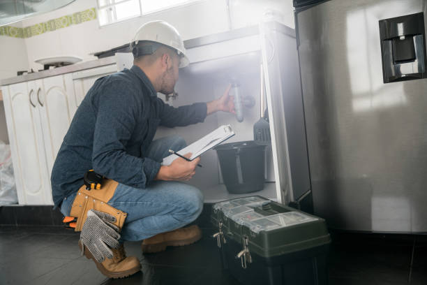Best Clogged Drain Plumber  in Malta, IL