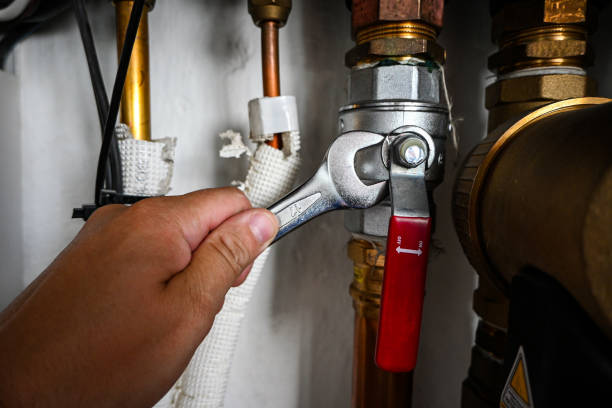 Best Same-Day Plumbing Service  in Malta, IL